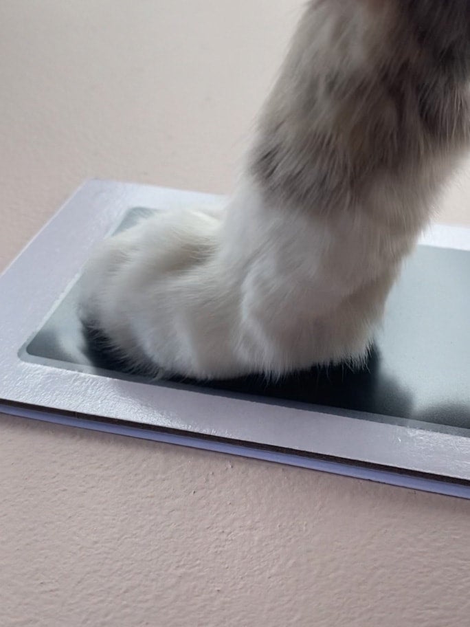 Pet Paw Inkless Print Kit Annalise Paints